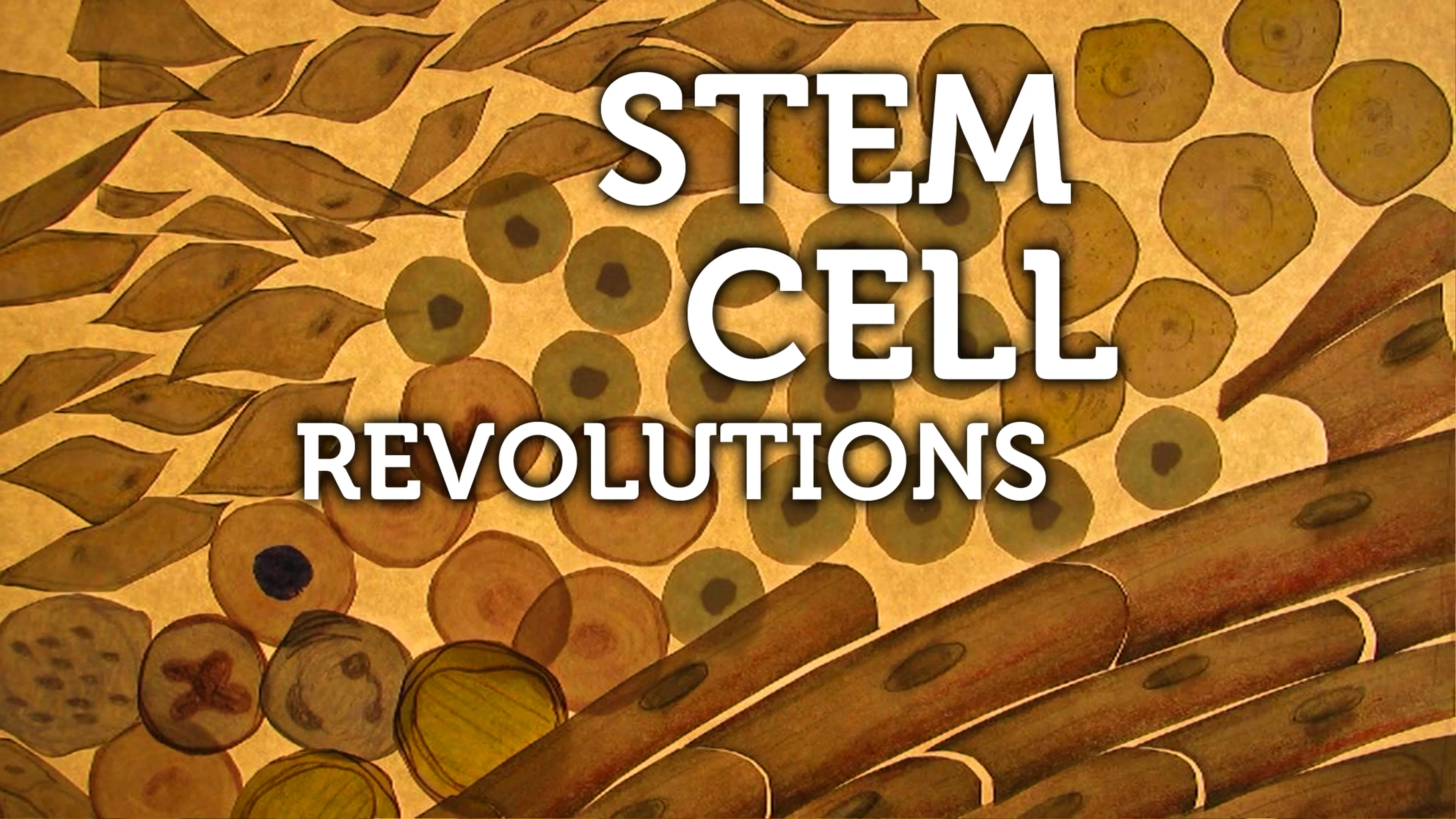 Stem Cell Revolutions poster